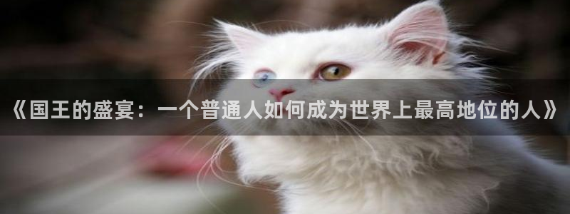 eva明日香羞羞漫画：《国王的盛宴：一个普通人如何成为世界上最高地位的人》