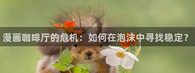 小说羞羞漫画：漫画咖啡厅的危机：如何在泡沫中寻找稳定？